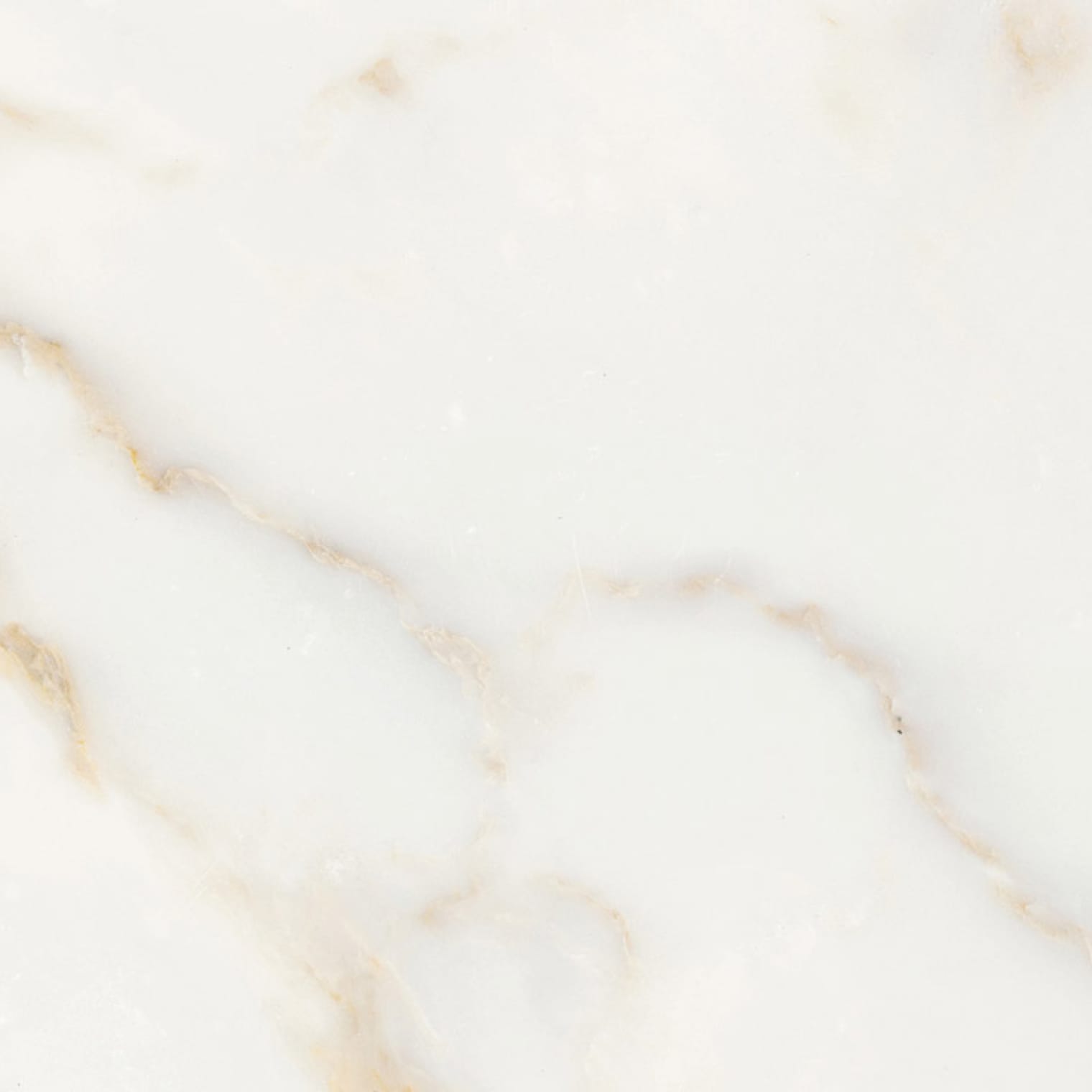 Marble Calcatta Classico